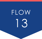 FLOW13